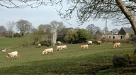 Site archéologique et hameau de Keranscot (Trégrom)
