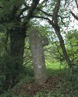 Croix de chemin, près de Menez Guen (Mellionnec)