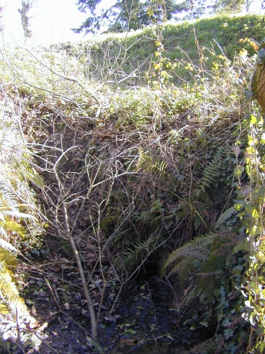 Pont routier, le Tenoux (Cuguen)
