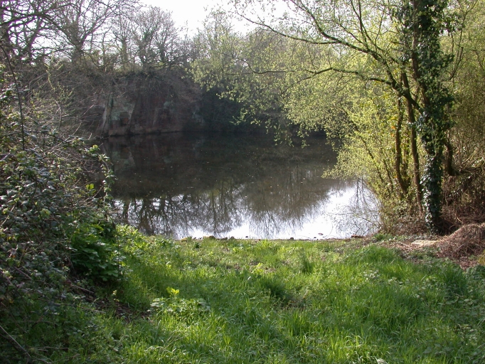 Carrière de granite de Bel-Air (Languédias)