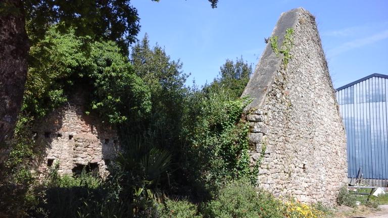 Les marais salants (Parc naturel régional du Golfe du Morbihan)